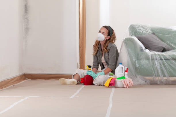 Reliable Commercial Mold Remediation contractor in Old Hickory, TN by WQB Mold Removal